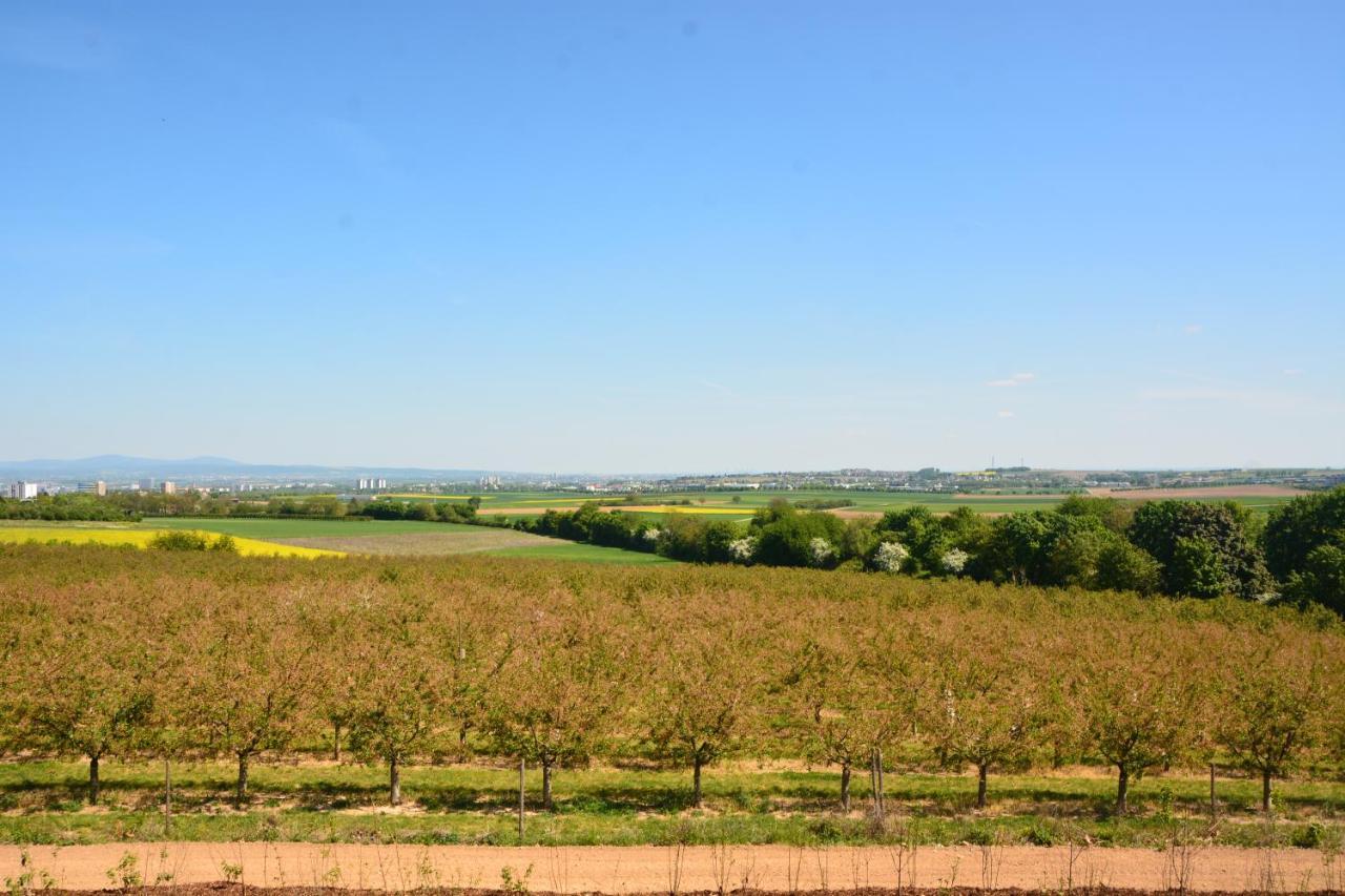 Weingut Bugner Meizelhof Klein-Winternheim Exteriér fotografie