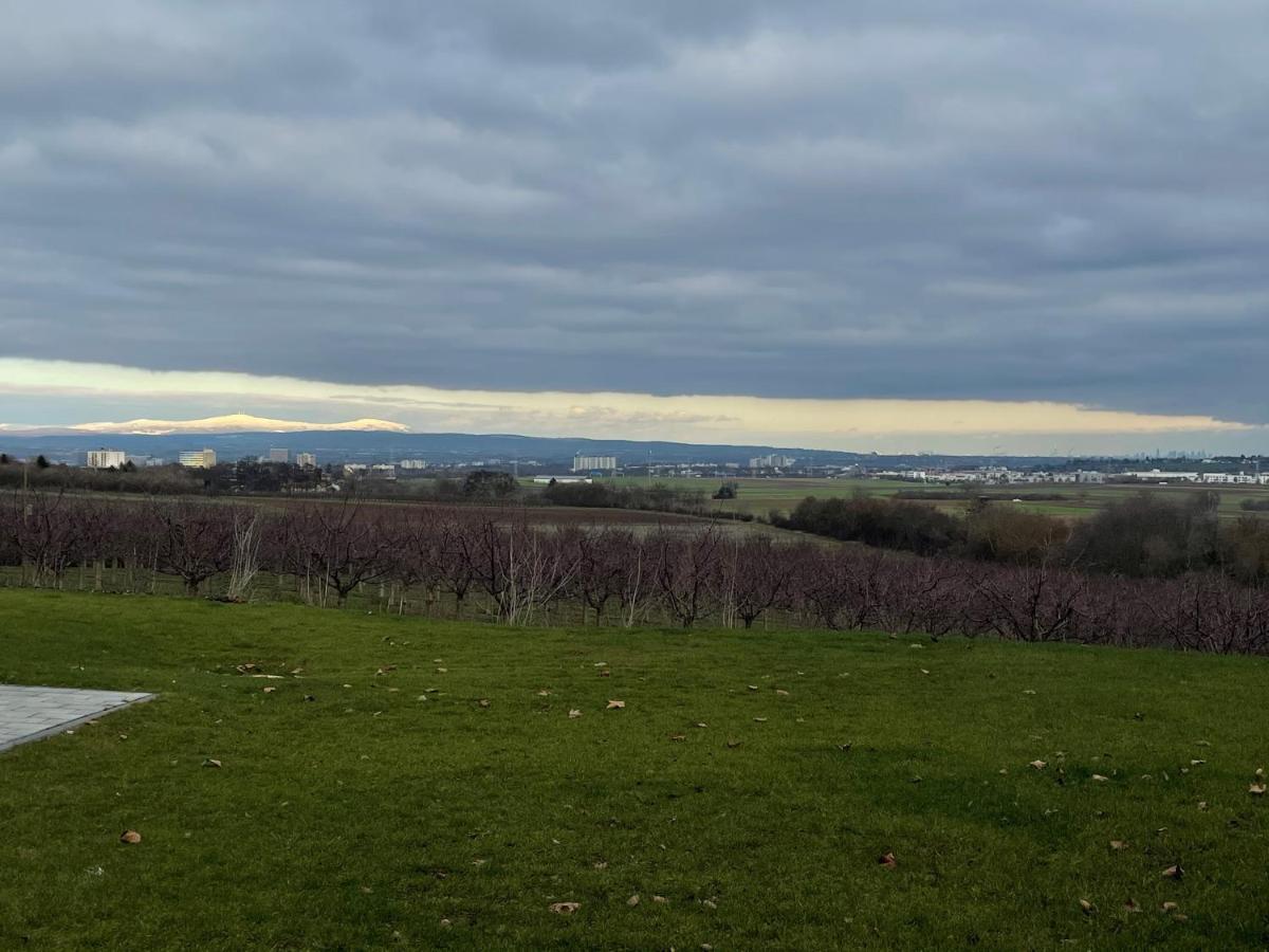 Weingut Bugner Meizelhof Klein-Winternheim Exteriér fotografie